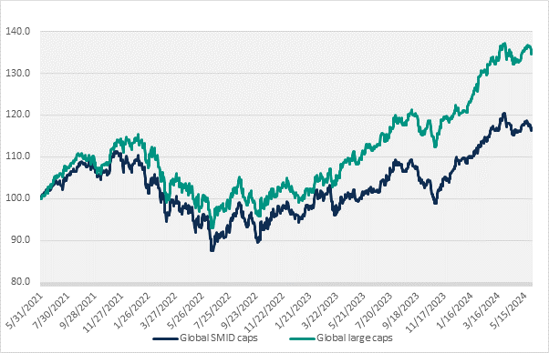 Line graph shows that global large caps have outperformed global small-mid caps from 2021 to 2024.