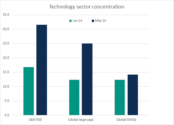 Graph shows how US and global large cap indices have become increasingly concentrated in the tech sector in the past few years while the global small-mid index has stayed roughly the same.